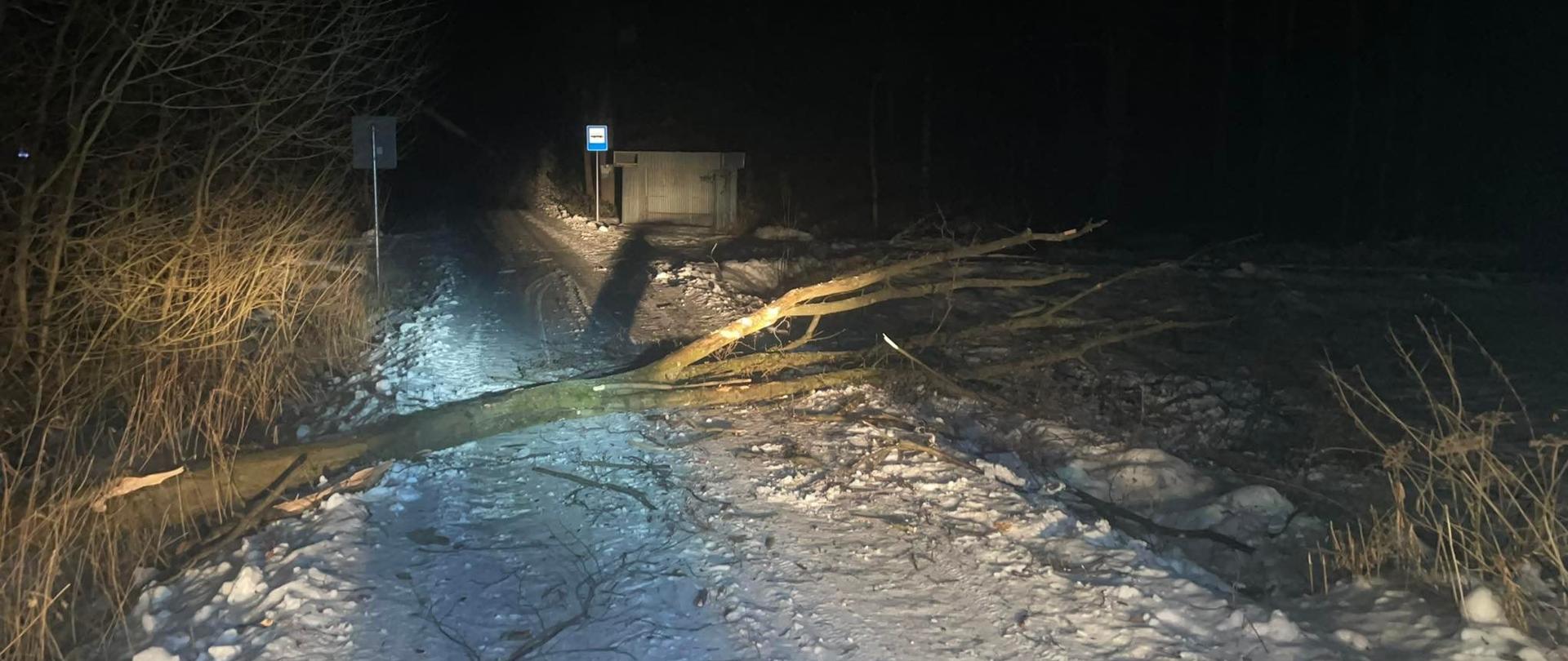 Drzewo leżące na drodze