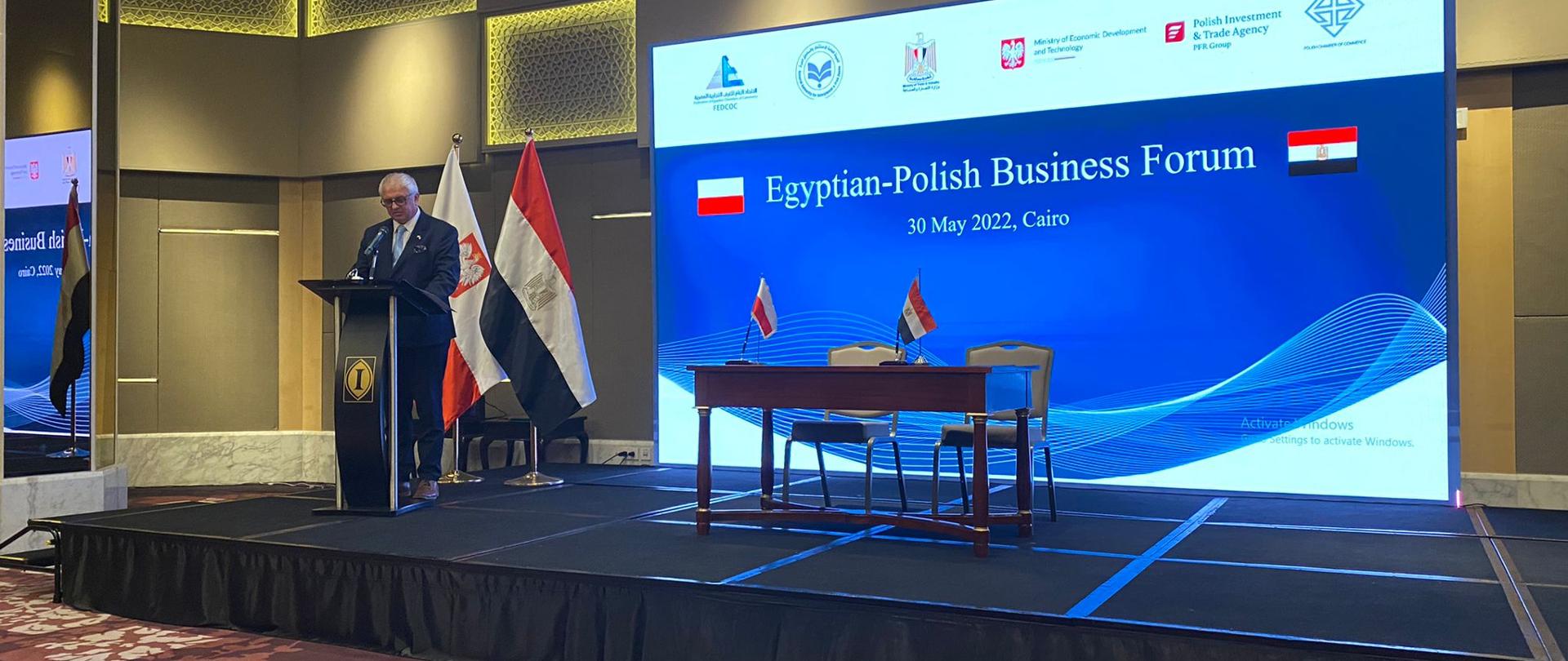 Wiceminister rozwoju i technologii podczas wystąpienia na Polsko-Egipskim Forum gospodarczym w Kairze. 
