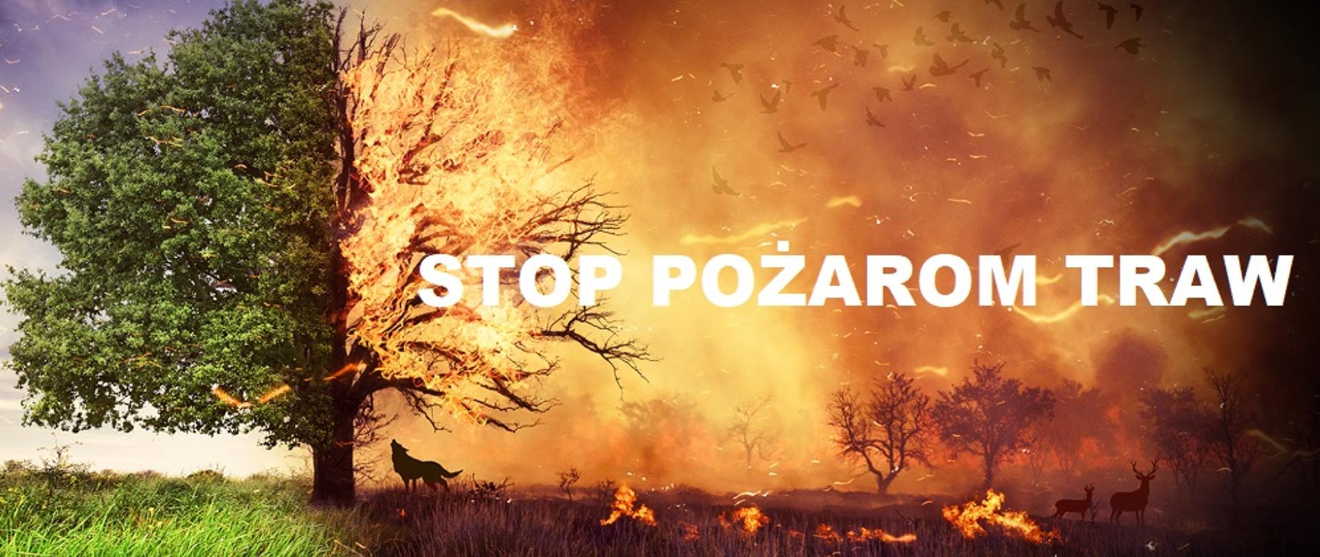 Zdjęcie propagujące kampanie społeczną "Stop pożarom traw". Przedstawia po lewej stronie naturalną przyrodę z zieloną trawą i zielonym drzewem. Po prawej stronie zdjęcia przedstawiona jest paląca się trawa i palące się drzewo oraz uciekające przed ogniem zwierzęta leśne. Na środku obrazka znajduje się napis z białymi literami: Stop pożarom traw