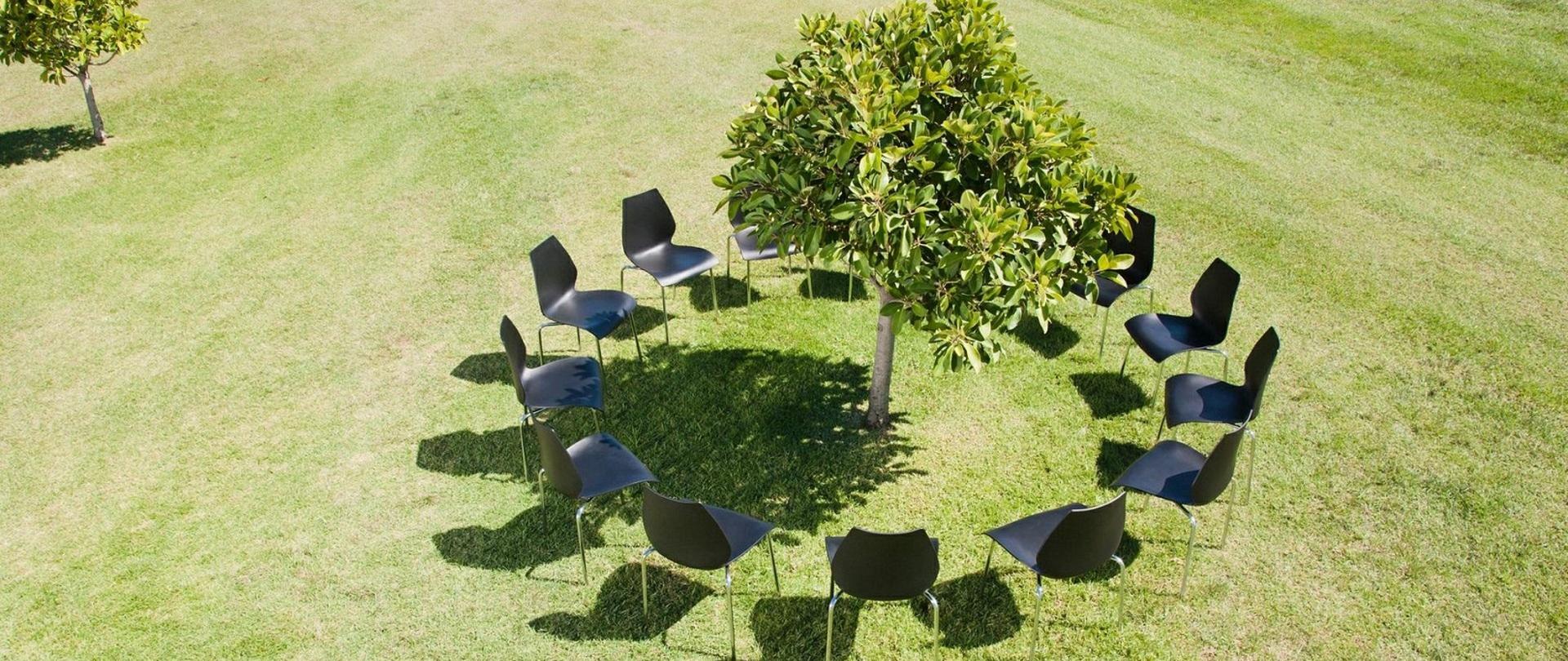 12 czarnych krzeseł ustawionych w kształcie koła na łące. Po środku rośnie drzewo.