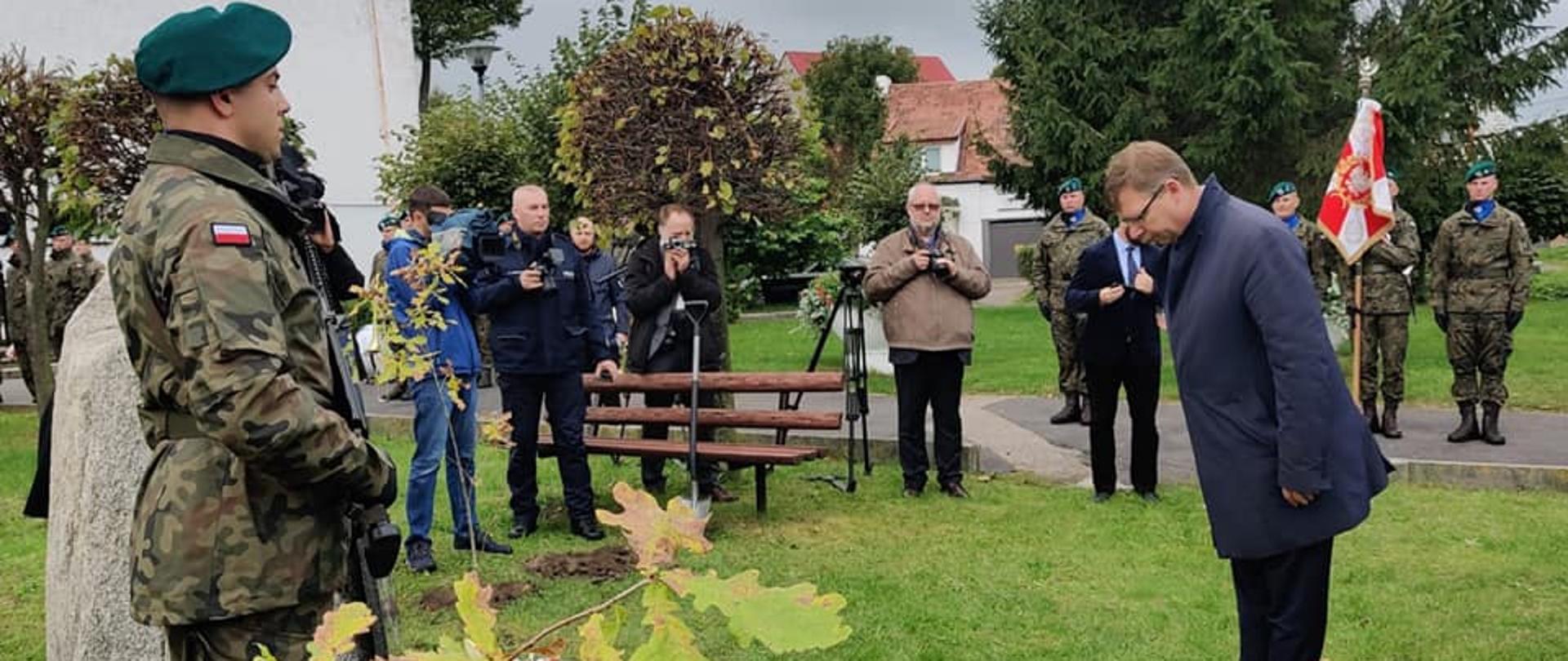 pomnik, ludzie, dęby 