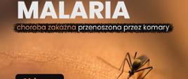Zbliżenie komara siedzącego na ludzkiej skórze