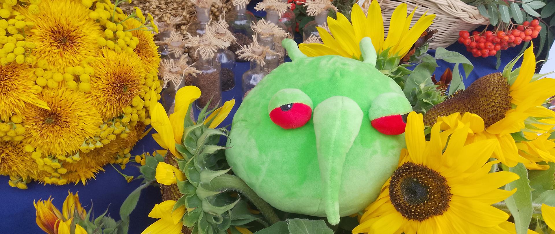 Maskotka pesty stoisko WIORiN Oddział w Zamościu na dożynkach w Łabuniach