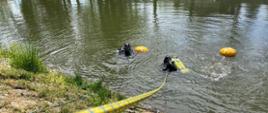 Nurkowie nurkują w wodzie z zabezpieczeniem.