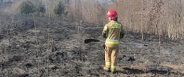Na zdjęciu widoczny jest strażak z tłumicą w dłoniach na tle pogorzeliska po wypalonej trawie.