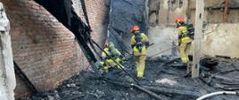 Na zdjęciu widać pracujących strażaków, którzy prowadzą prace rozbiórkowe spalonej konstrukcji. 