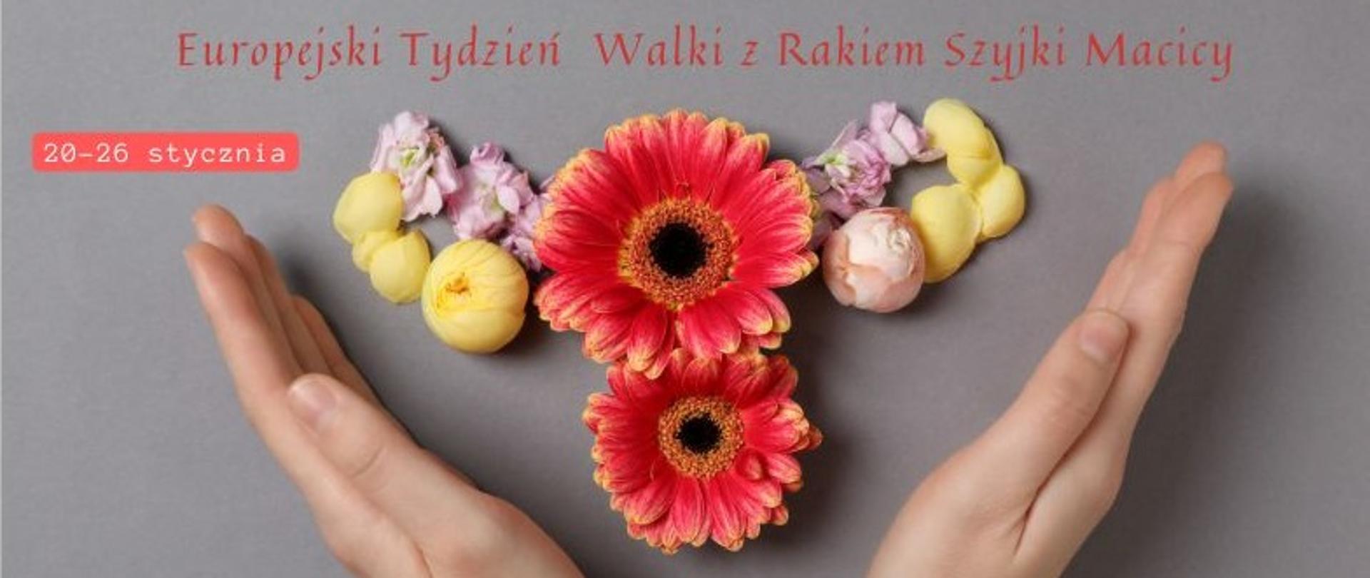 Europejski Tydzień Walki z Rakiem Szyjki Macicy