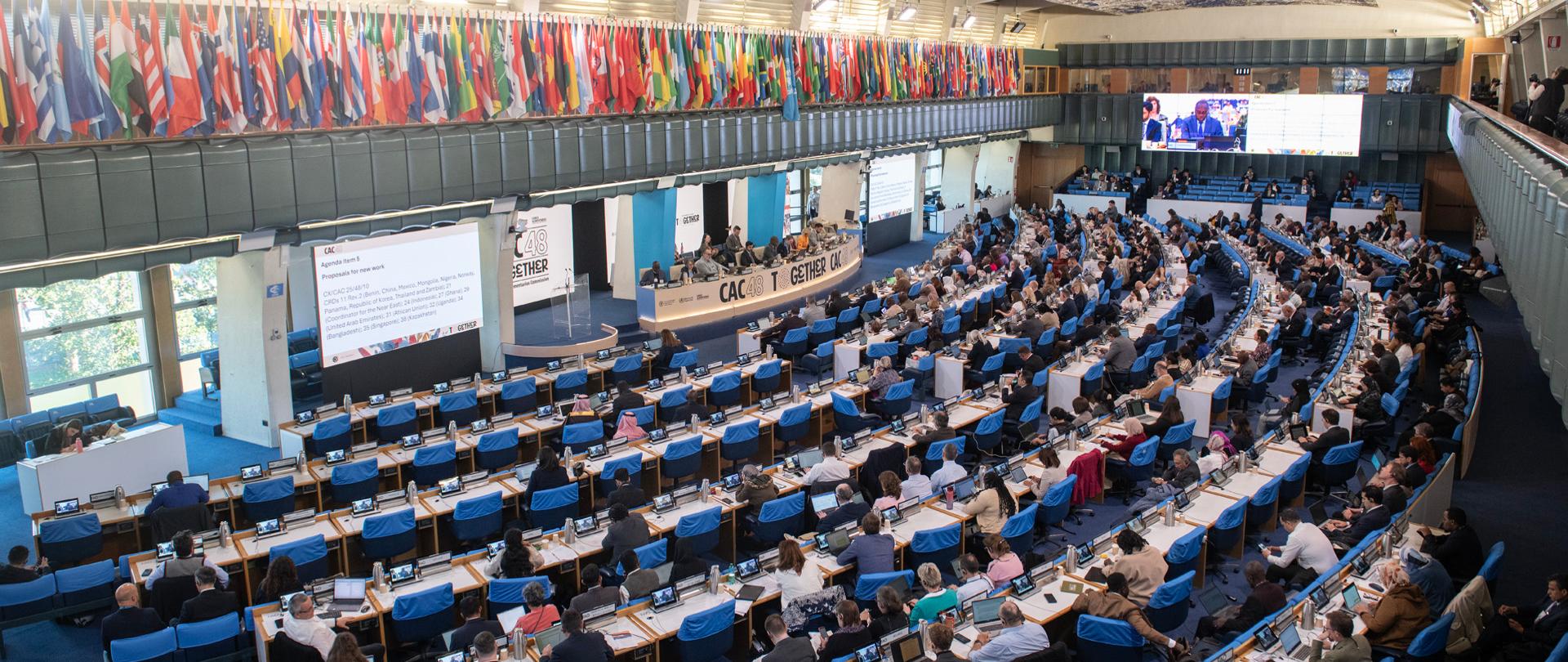 Sala konferencyjna ze stołami i krzesłami, w tle podest z prezydium oraz ekran z prezentacją, na górze flagi państw