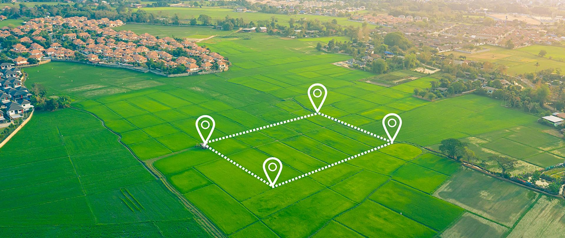 Widok z góry na pole z wyznaczonym kwadratem