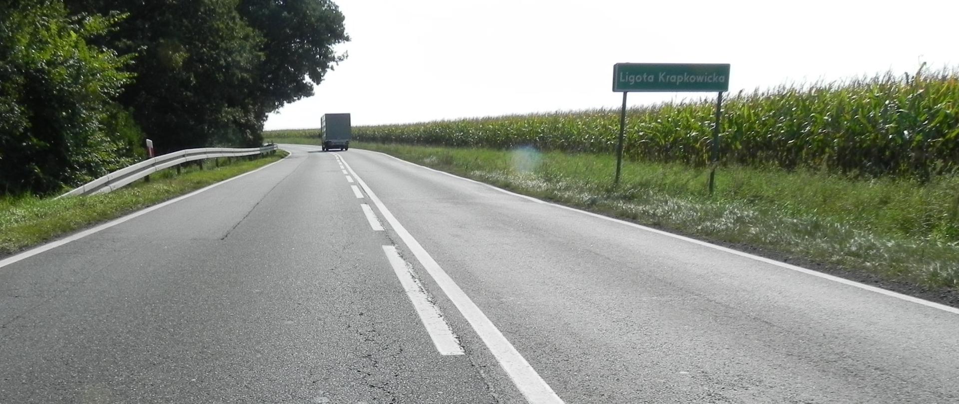 Fragment DK45 na odcinku Żywocice - Ligota Krapkowicka