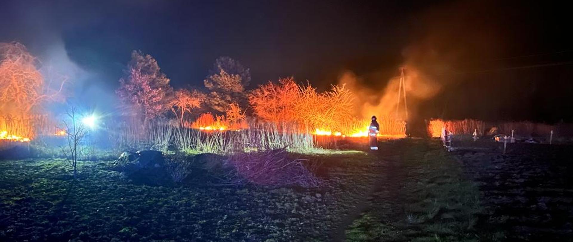Zdjęcie przedstawia pożar trawy w Smardzku. W tle drzewa, paląca się trawa oraz strażak.