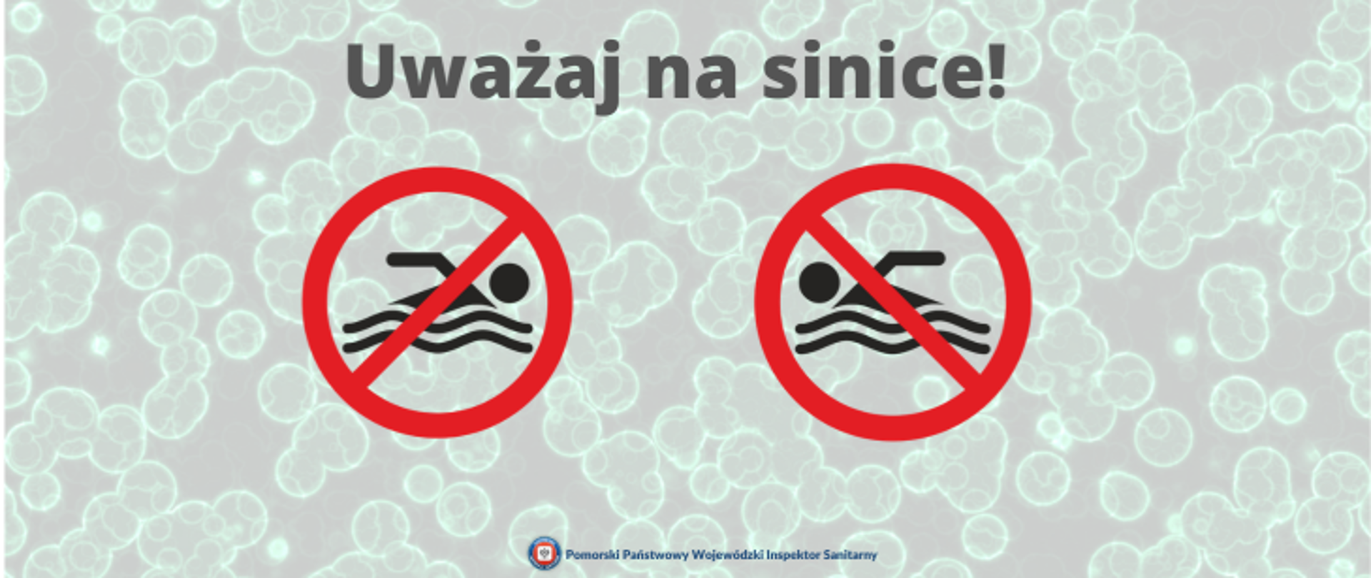 Grafika przedstawiająca znak "Zakaz pływania" w tle widoczne są sinice. Na górze grafiki widoczny napis "Uważaj na sinice", u dołu logo Państwowej Inspekcji Sanitarnej i napis Pomorski Państwowy Wojewódzki Inspektor Sanitarny.