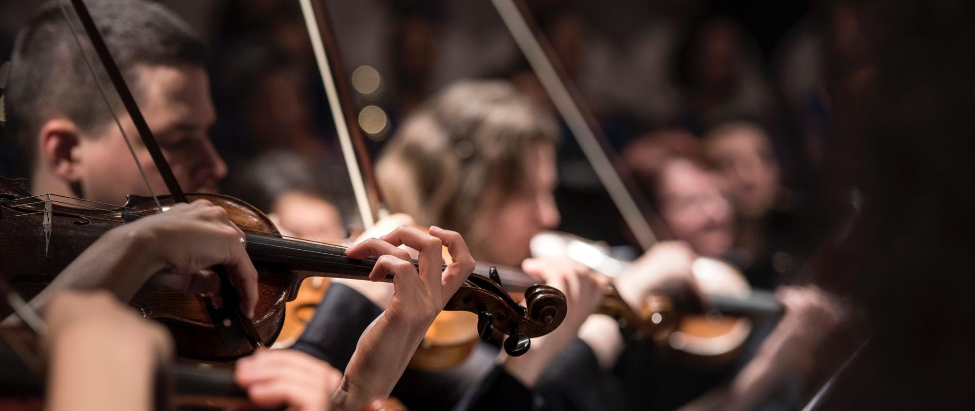 fotografia przedstawia członków orkiestry smyczkowej grających koncert