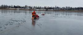 Zdjęcie przedstawia strażaków na desce lodowej podczas ćwiczeń. Jeden ze strażaków znajduje się w wodzie. Dwóch kolejnych strażaków przy pomocy deski lodowej ratuje poszkodowanego. 