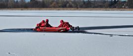 Zdjęcie przedstawia strażaków ćwiczących ratownictwo lodowe na jeziorze.
W tle jezioro o las.
