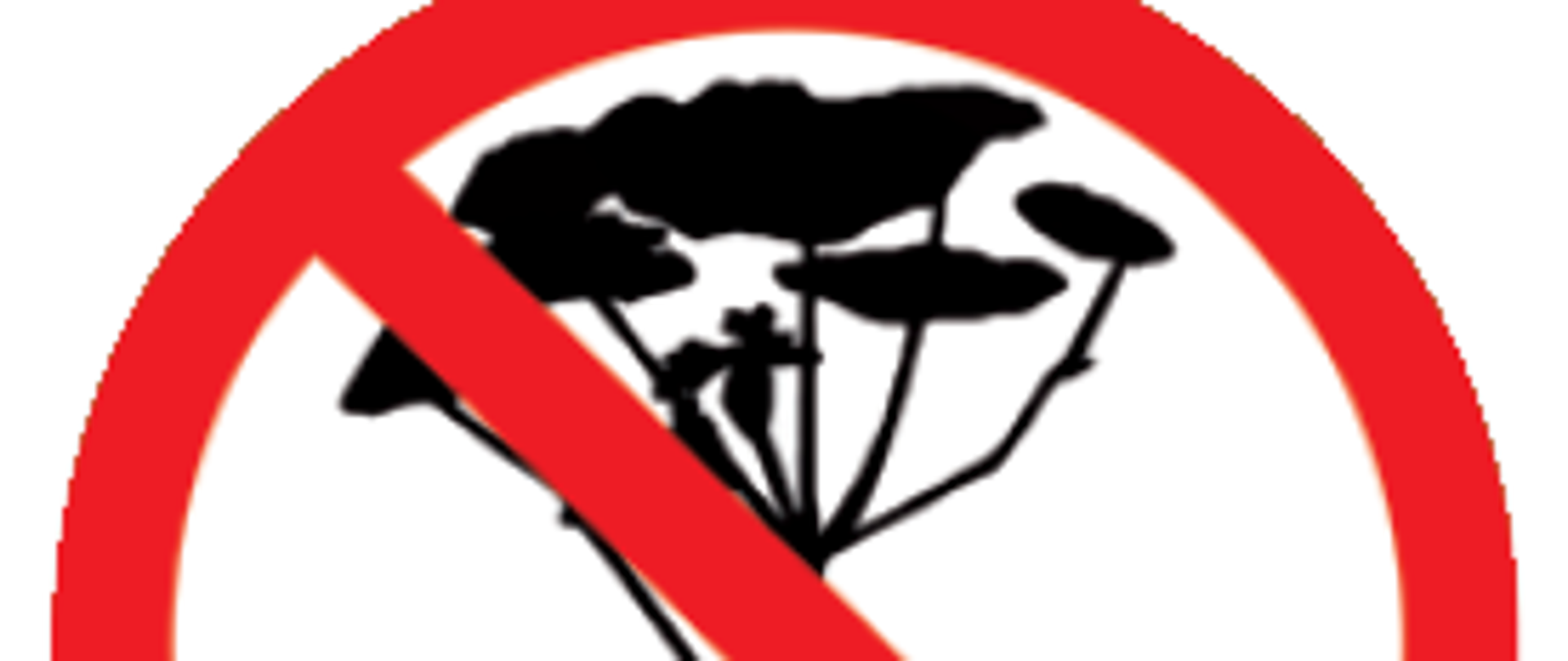 Toksyczne rośliny na Mazowszu
