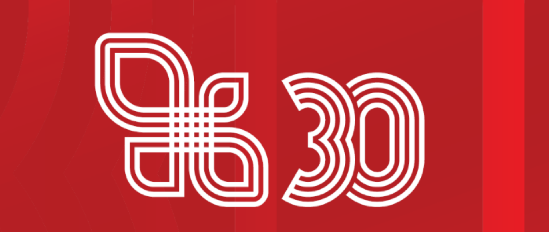 30 anos da cooperação de Visegard