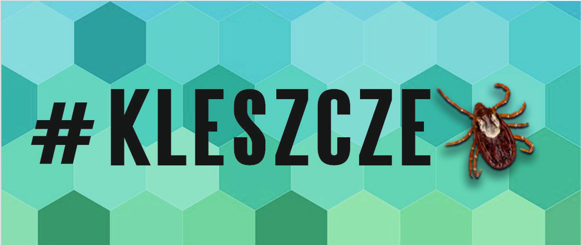 Napis kleszcze, po prawej stronie zdjęcie kleszcza