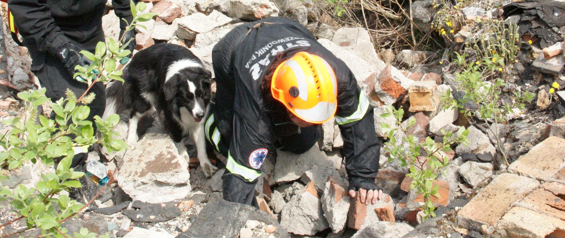 Zespoły ratownicze z psami