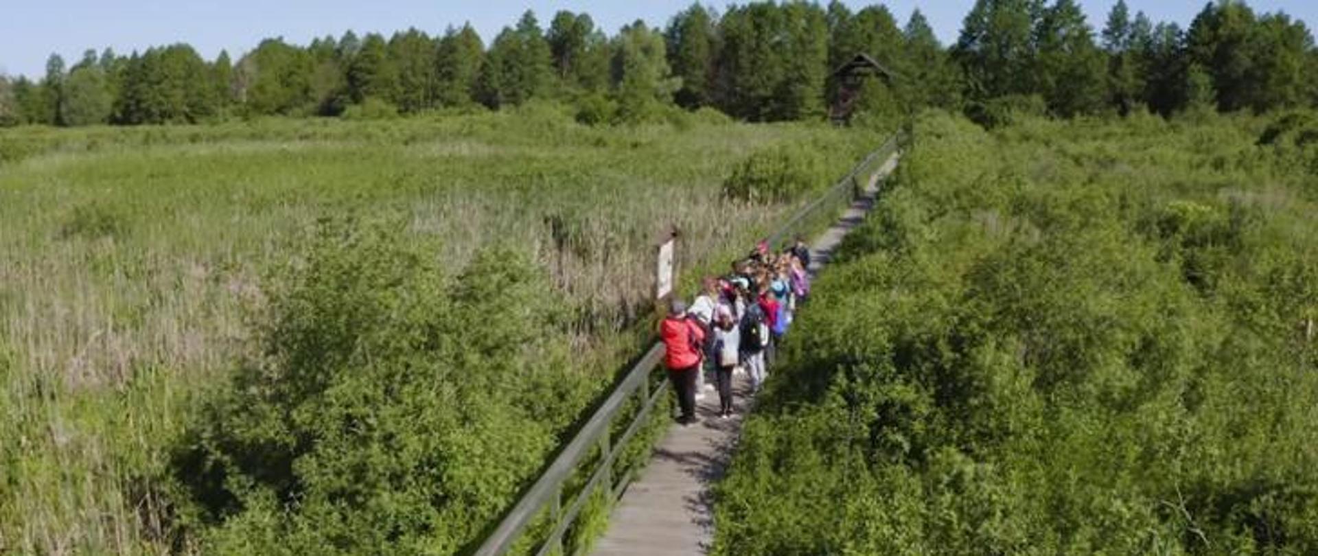Grupa ludzi stojących na moście zlokalizowanym pośród drzew i krzewów