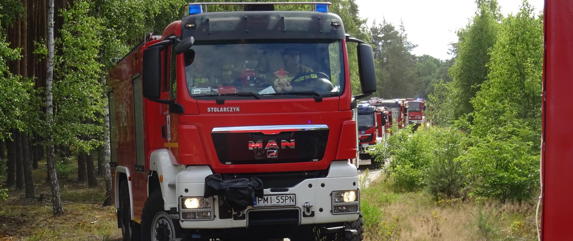 Zdjęcie przedstawia dojazd kolumny samochodów pożarniczych do miejsca ćwiczeń w lesie.