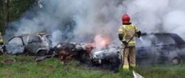 W miejscowości Drozdów na polu palą się trzy samochody osobowe. Na zdjęciu widać strażaka ubranego w ubranie specjalne z rozwiniętą linią gaśniczą. Strażak dogasza zniszczone w wyniku pożaru samochody.