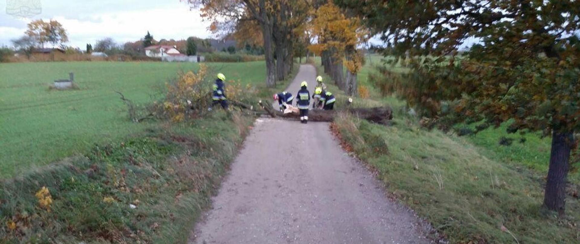 Powalone drzewo na utwardzonej drodze gruntowej, drzewo leżące w poprzek. Przy powalonym drzewie grupa pracujących strażaków. 