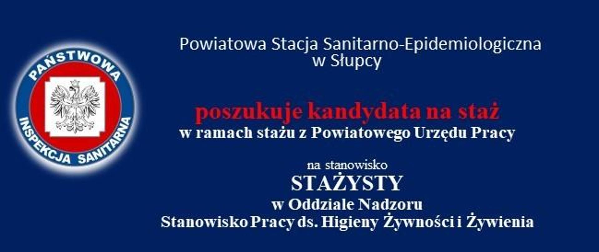 Oferta pracy na staż