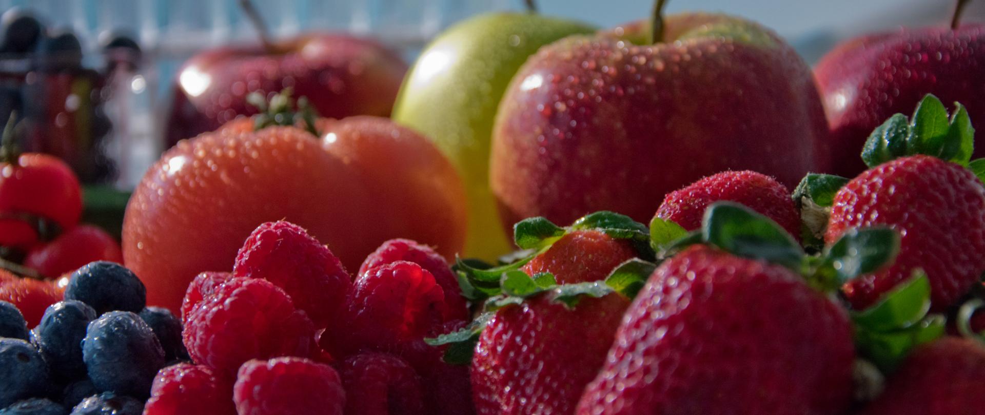 Owoce i warzywa do badania w Centralnym Laboratorium GIORiN