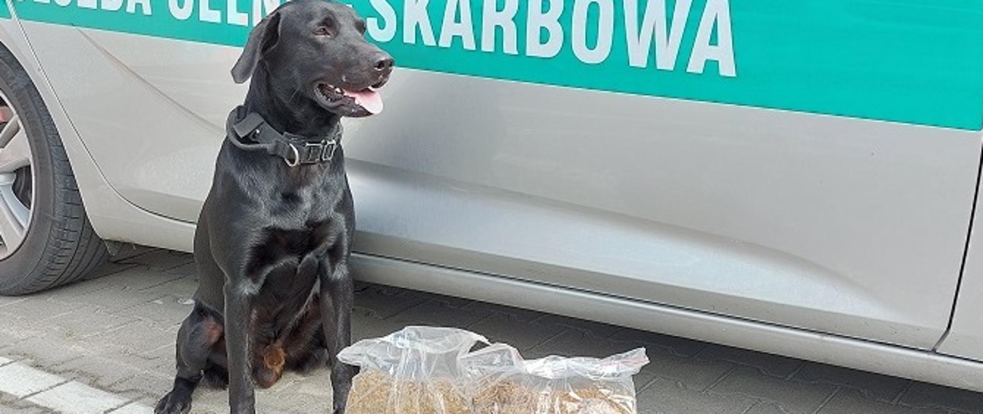 Kontrola przesyłek kurierskich