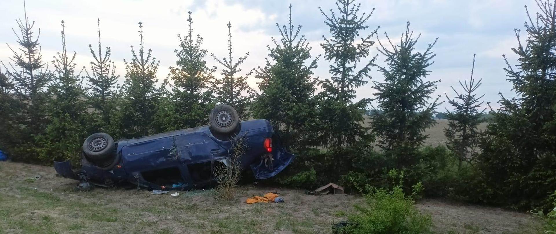 Samochód osobowy na dachu przy choinkach