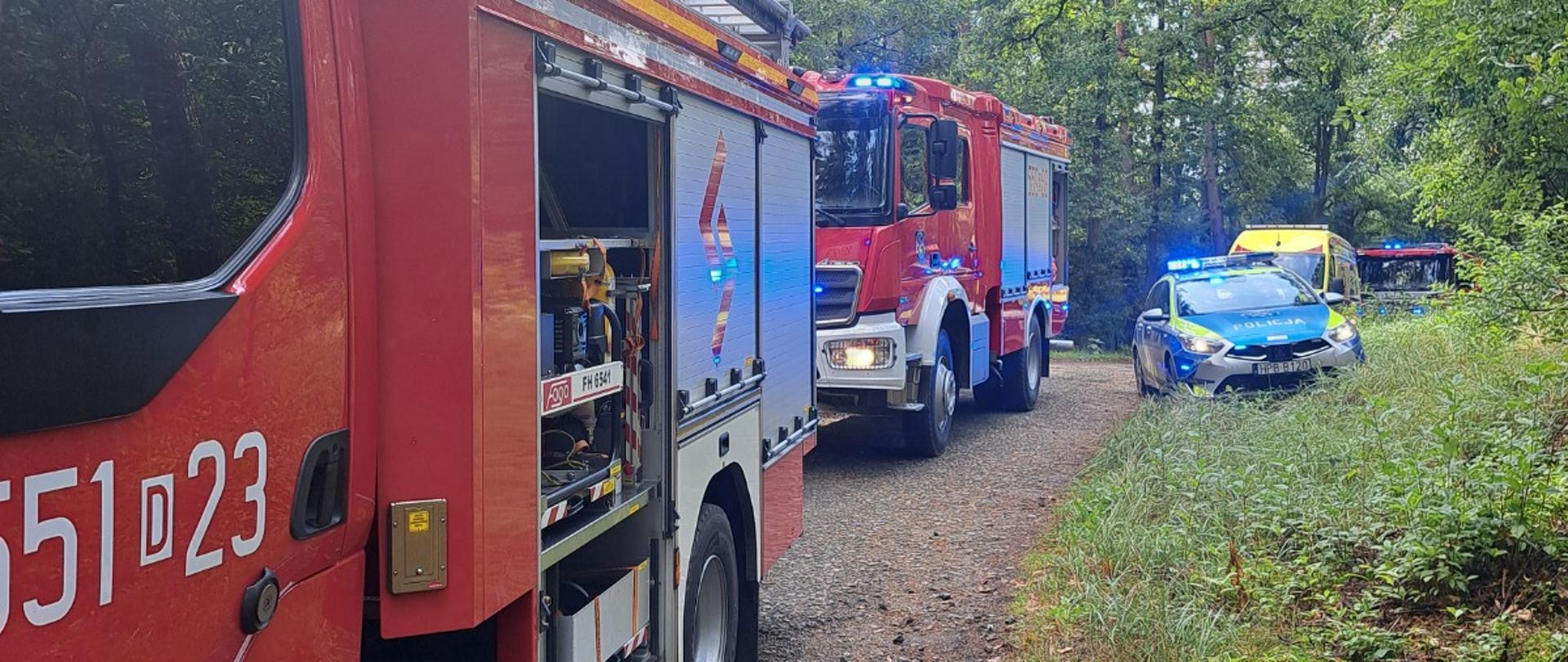 Śmiertelny wypadek na drodze leśnej 