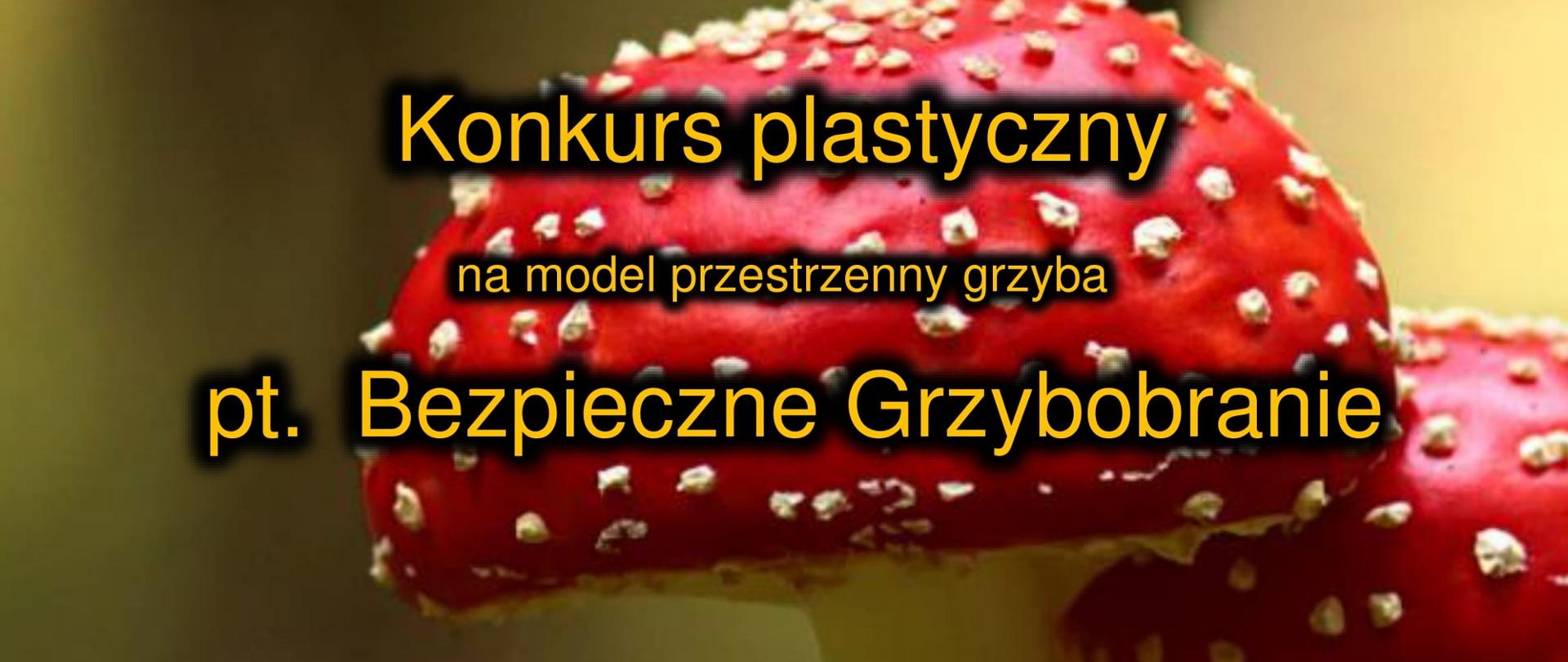 konkurs_muchomor-1