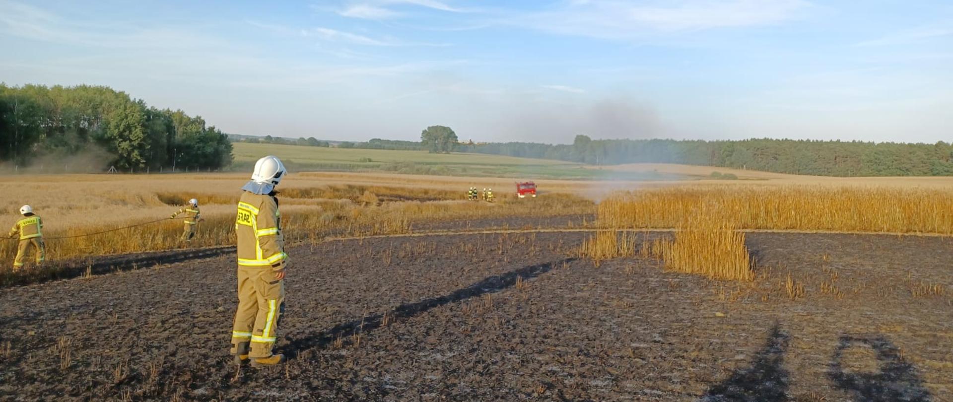 Na zdjęciu widać strażaków oraz samochód gaśniczy podczas działań na polu rolniczym.