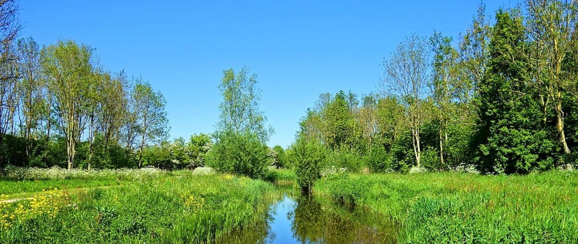 Retencja na wsi z budżetem 50 mln zł