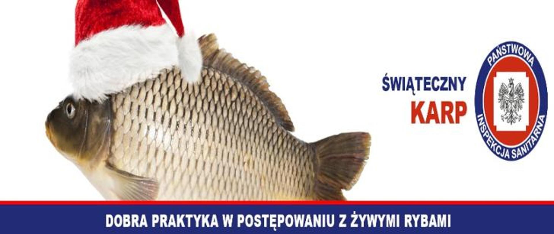 Na obrazku widać ryba z czapką świętego Mikołaja. Widać również napis po prawej stronie "świąteczny karp" oraz logo PIS. Na dole widnieje napis Dobra praktyka w postępowaniu z żywymi rybami.
