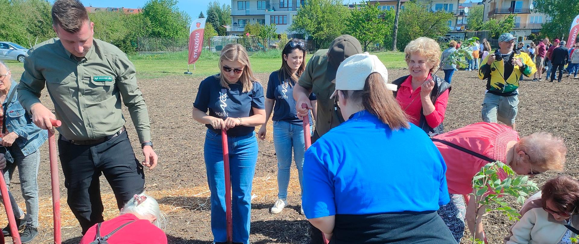 Kilka osób przygotowuje się do sadzenia drzew