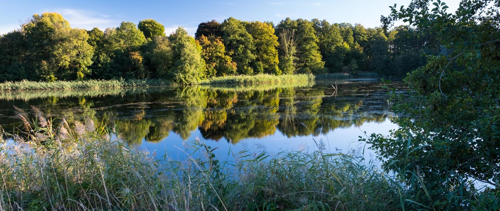  Rezerwat Stawy Raszyńskie