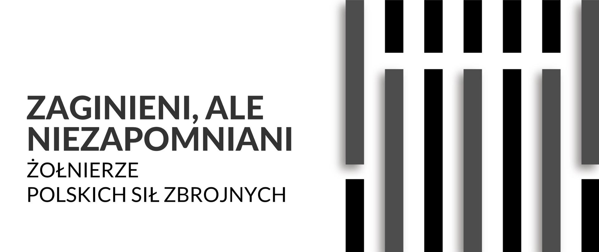 „Zaginieni, ale niezapomniani” – zidentyfikowaliśmy miejsca pochówku 5 polskich żołnierzy