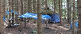 Zdjęcie przedstawia obóz harcerski w lesie