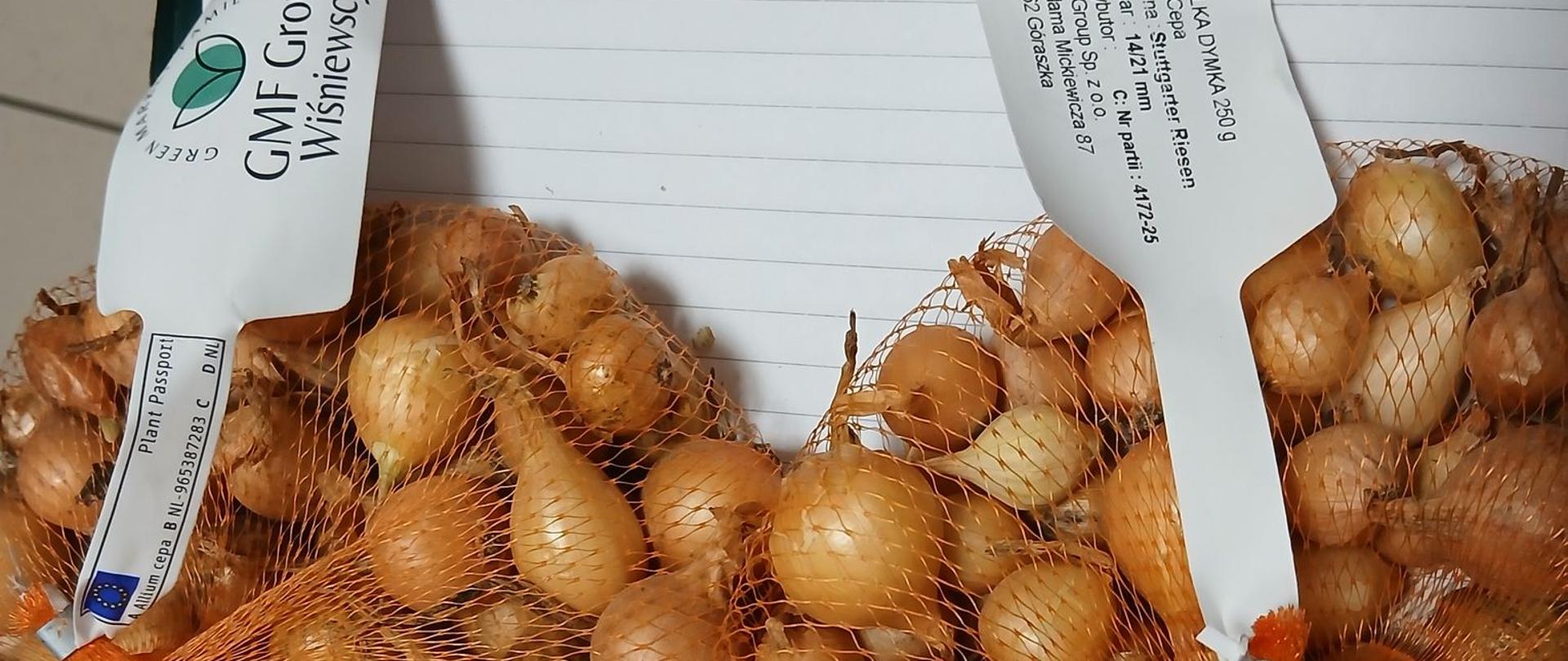 cebula dymka przygotowana do sprzedaży