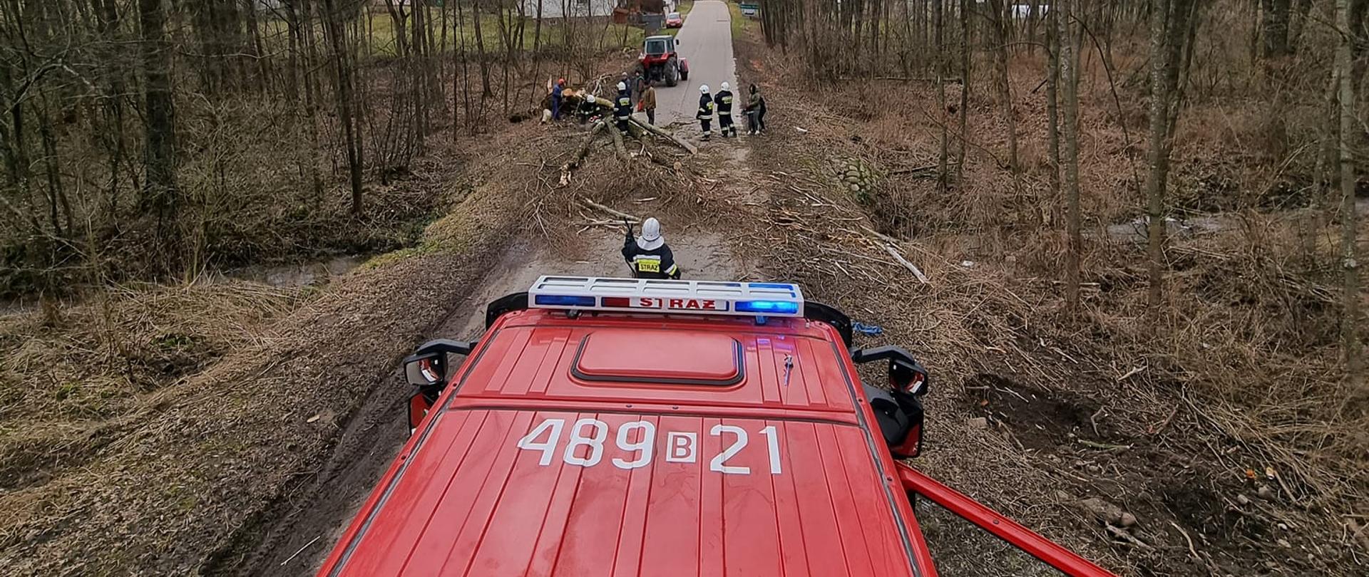 Strażacy usuwają drzewo powalone na drogę