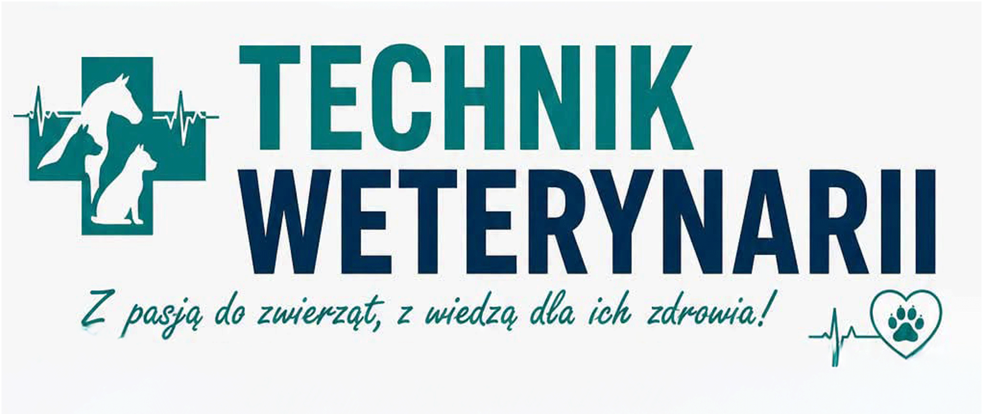 Technik Weterynarii-panorama