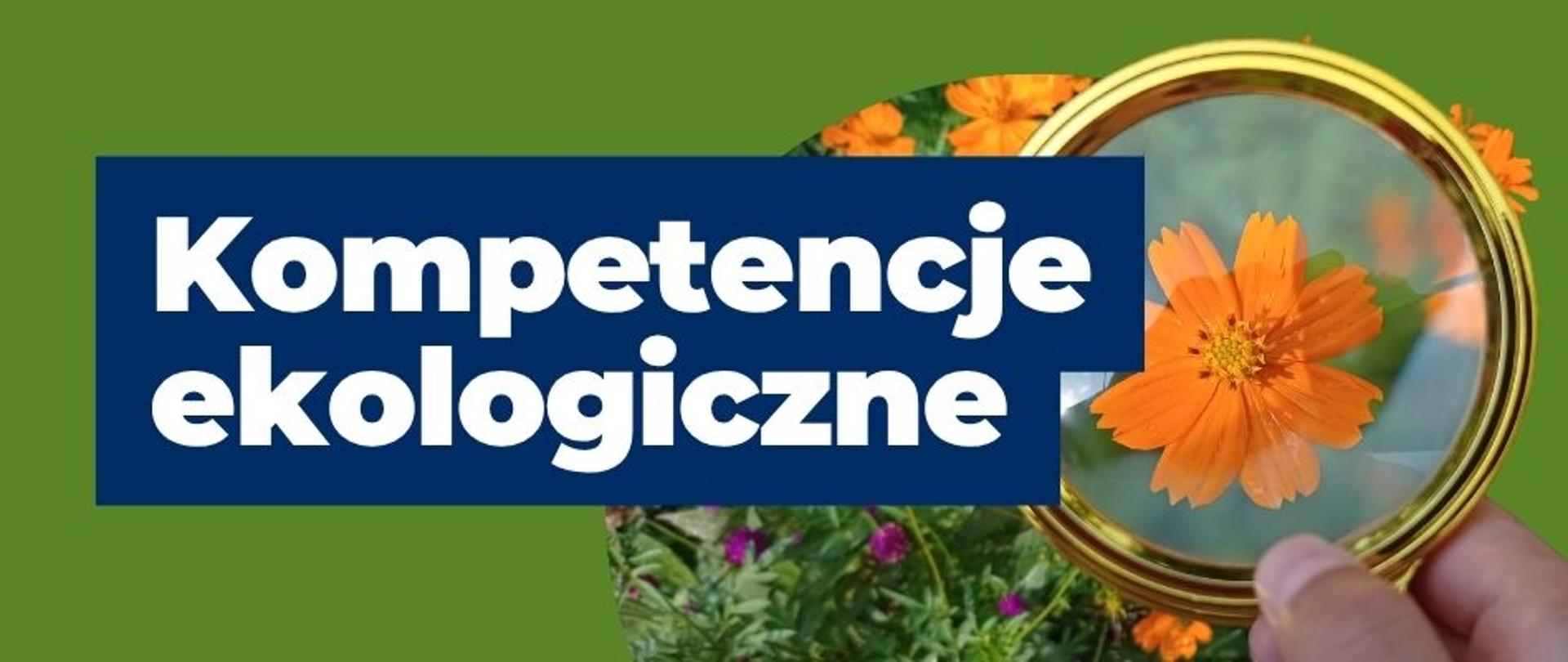 baner kompetencje ekologiczne