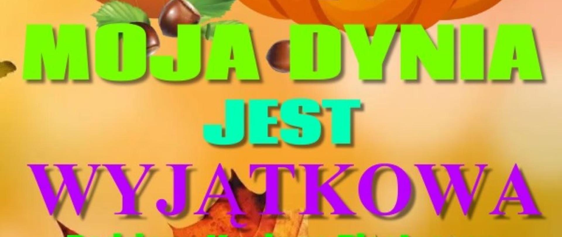 W centralnej części plakatu znajdują się dwie dynie, z których jedna wycięta jest na kształt uśmiechniętej głowy. Obok znajdują się żołędzie, a poniżej jesienny złoty liść. Tekst na plakacie informuje o szczegółach dotyczących rodzinnego konkursu zatytułowanego Moja dynia jest wyjątkowa. 
