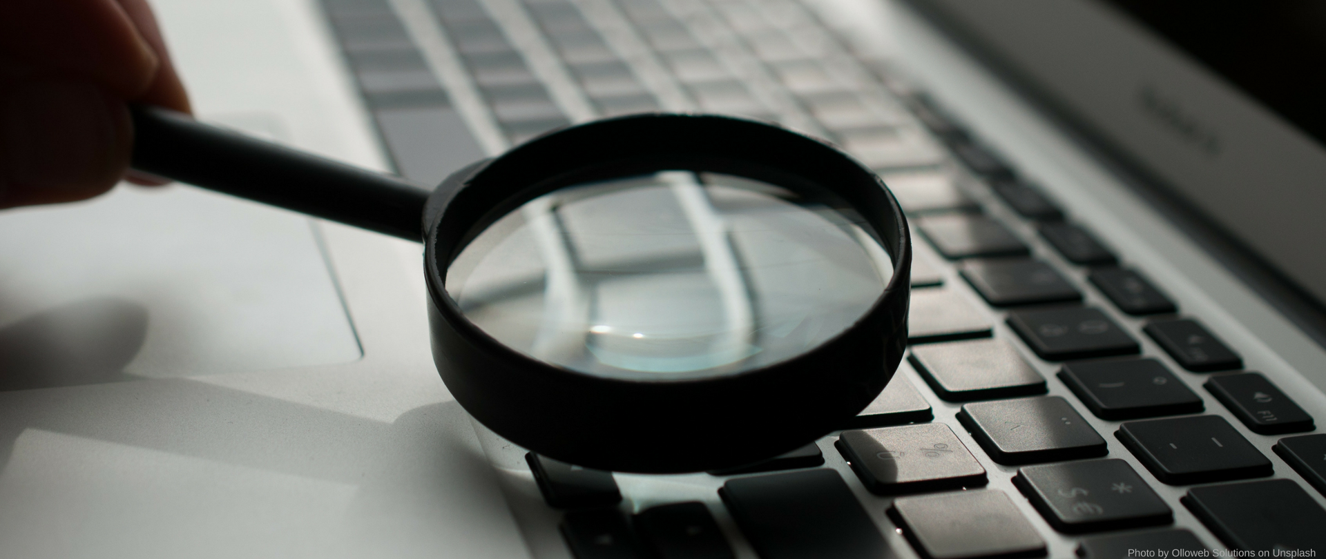 Slider strona — lupa