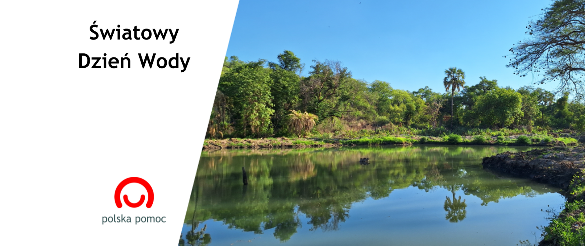 Niewielki jezioro w dżungli w południowej części Afryki