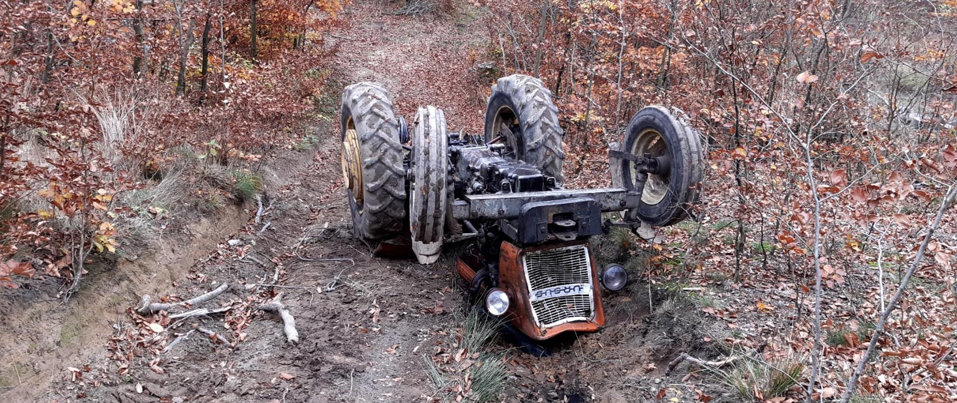Na zdjęciu ciągnik rolniczy, który przygniótł traktorzystę. ciągnik leży kołami do góry na leśnej drodze. W tle zastępy Państwowej Straży Pożarnej oraz Ochotniczej Straży Pożarnej.