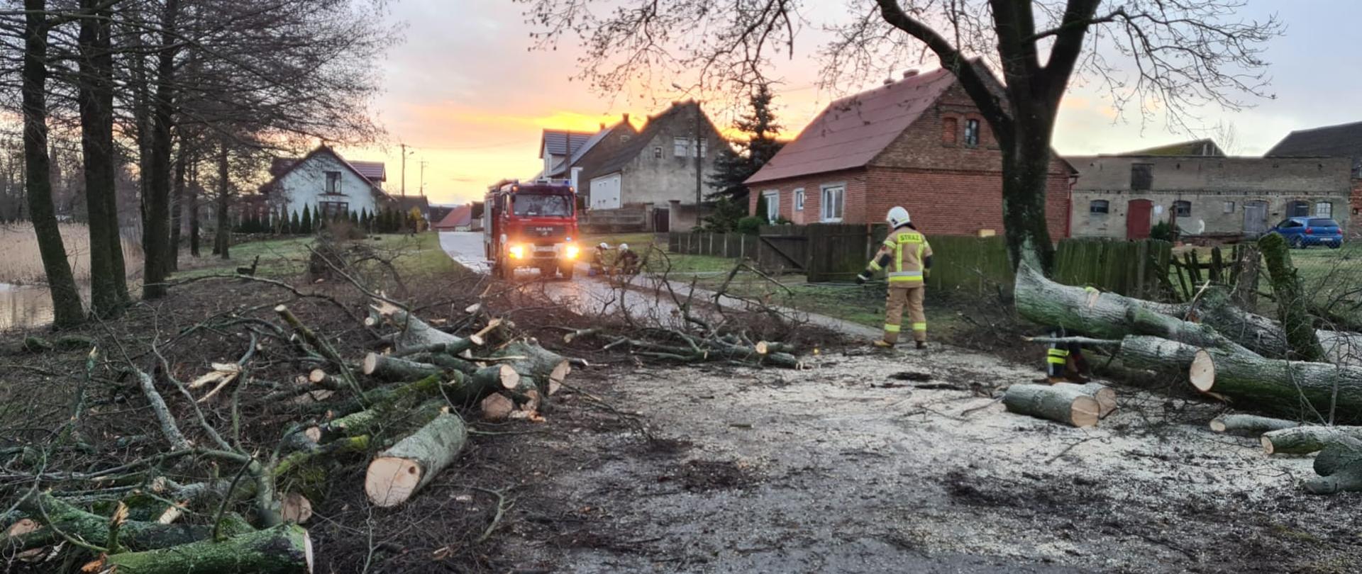 Na zdjęciu widzimy pocięte już drzewo przez strażaków , które przewróciło się na drogę.