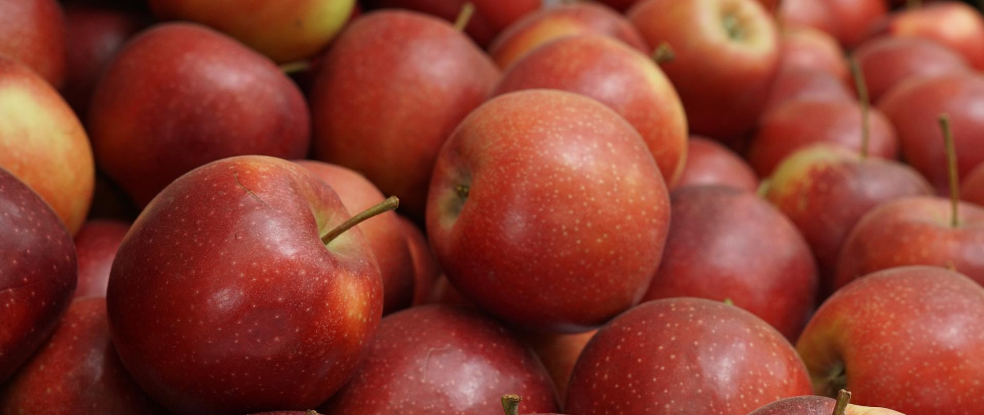 Jabłka